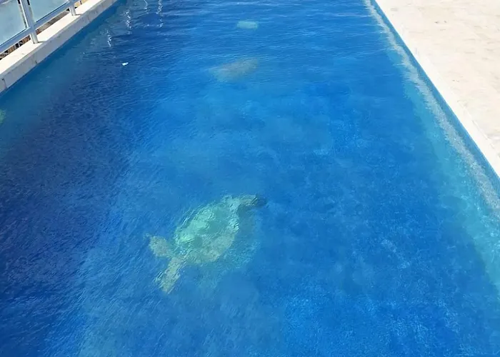 Long Apartment Playa del Carmen